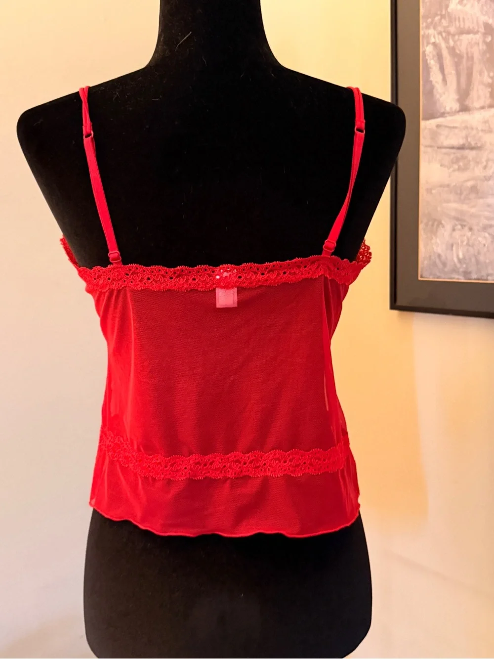 Gap Red Lace Trim V-Neck Camisole Top